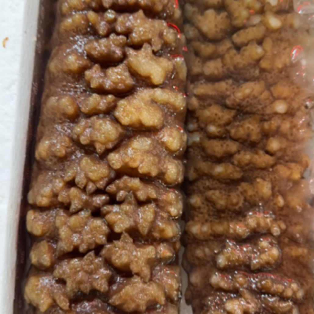 新鲜梅花参切块约500g