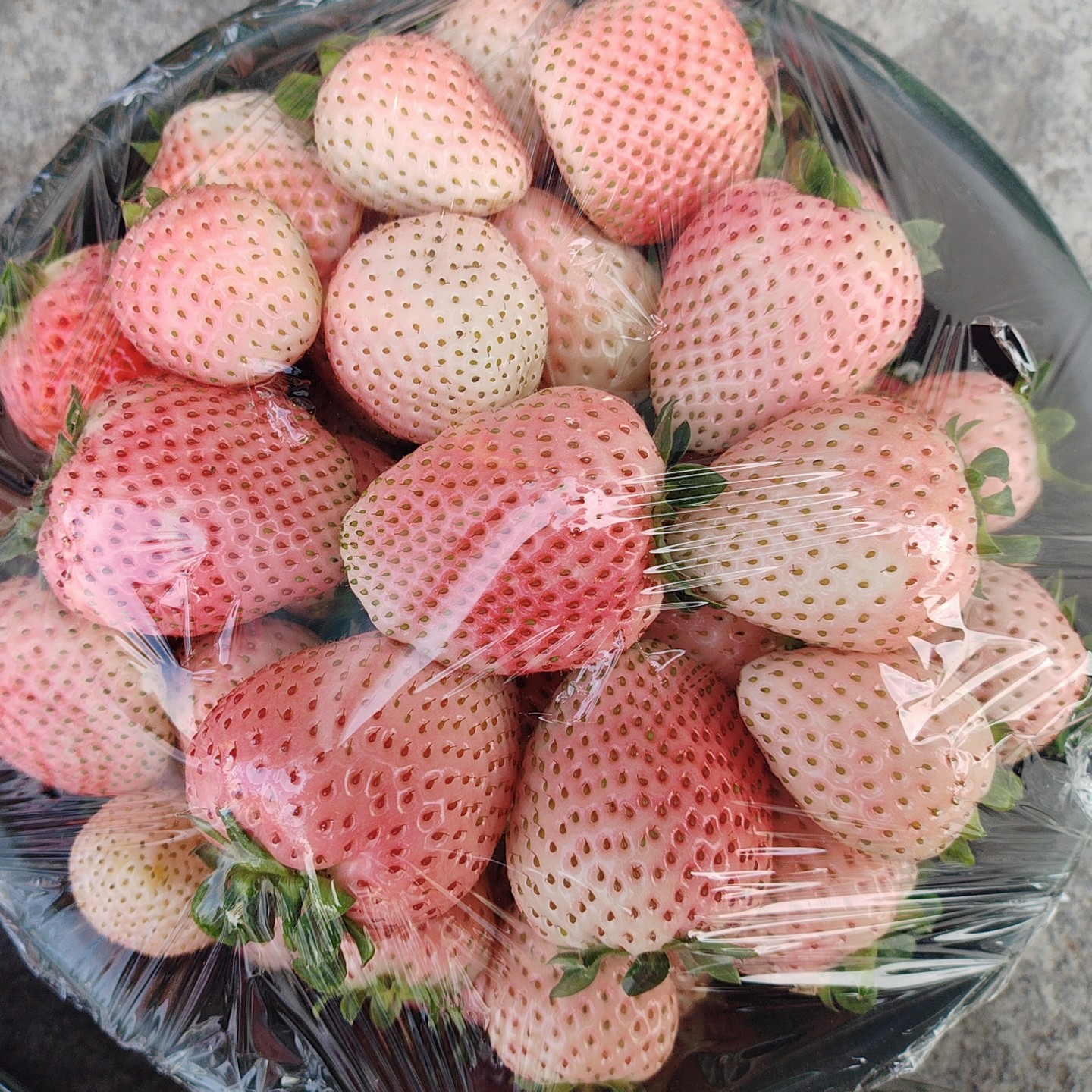 陕西自种纯甜粉玉草莓大果2斤装