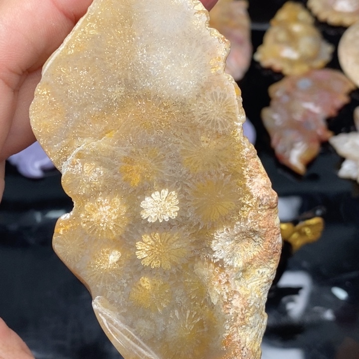 硅化珊瑚（珊瑚玉）手镯未镶嵌