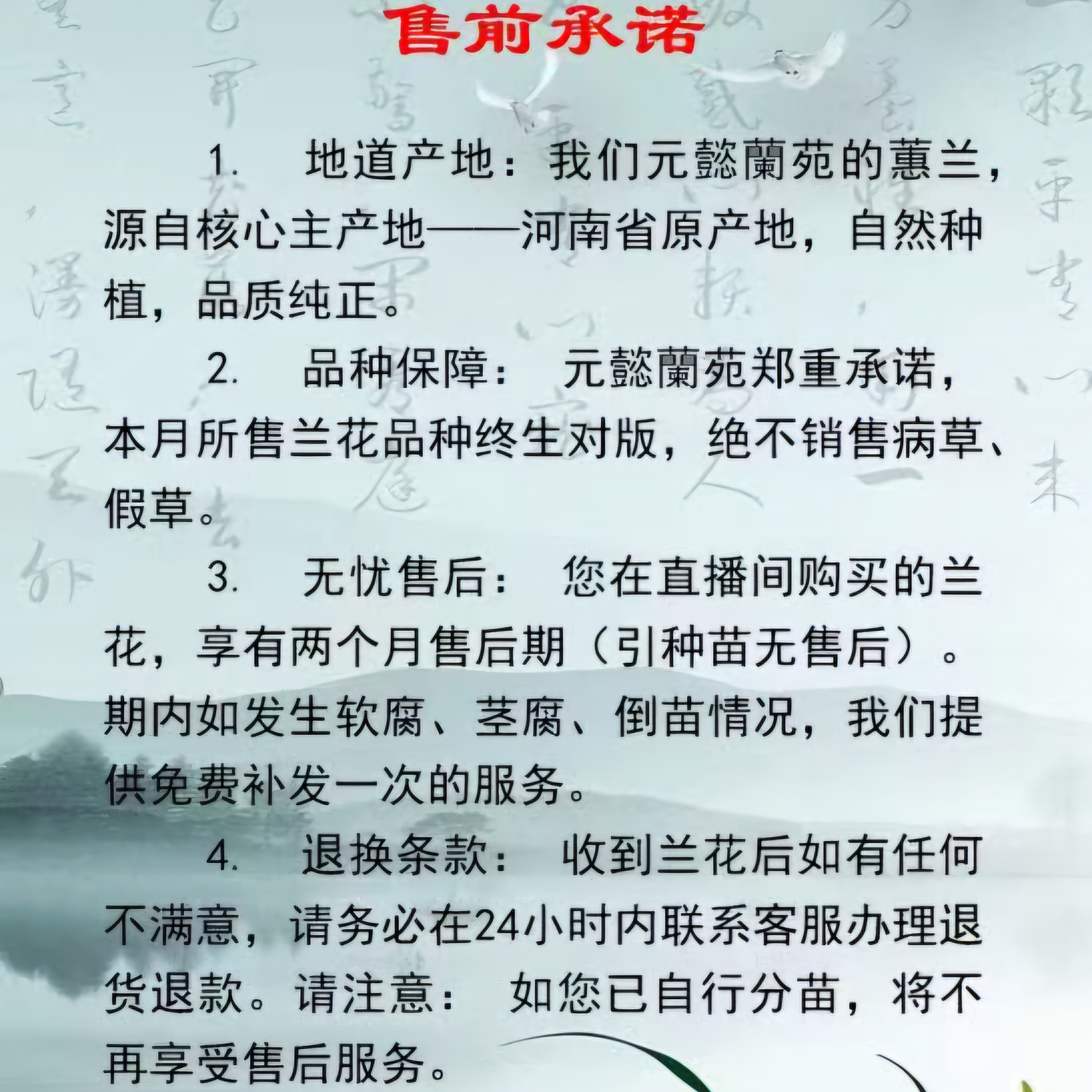 2号链接元懿兰苑直播间一物一拍兰花