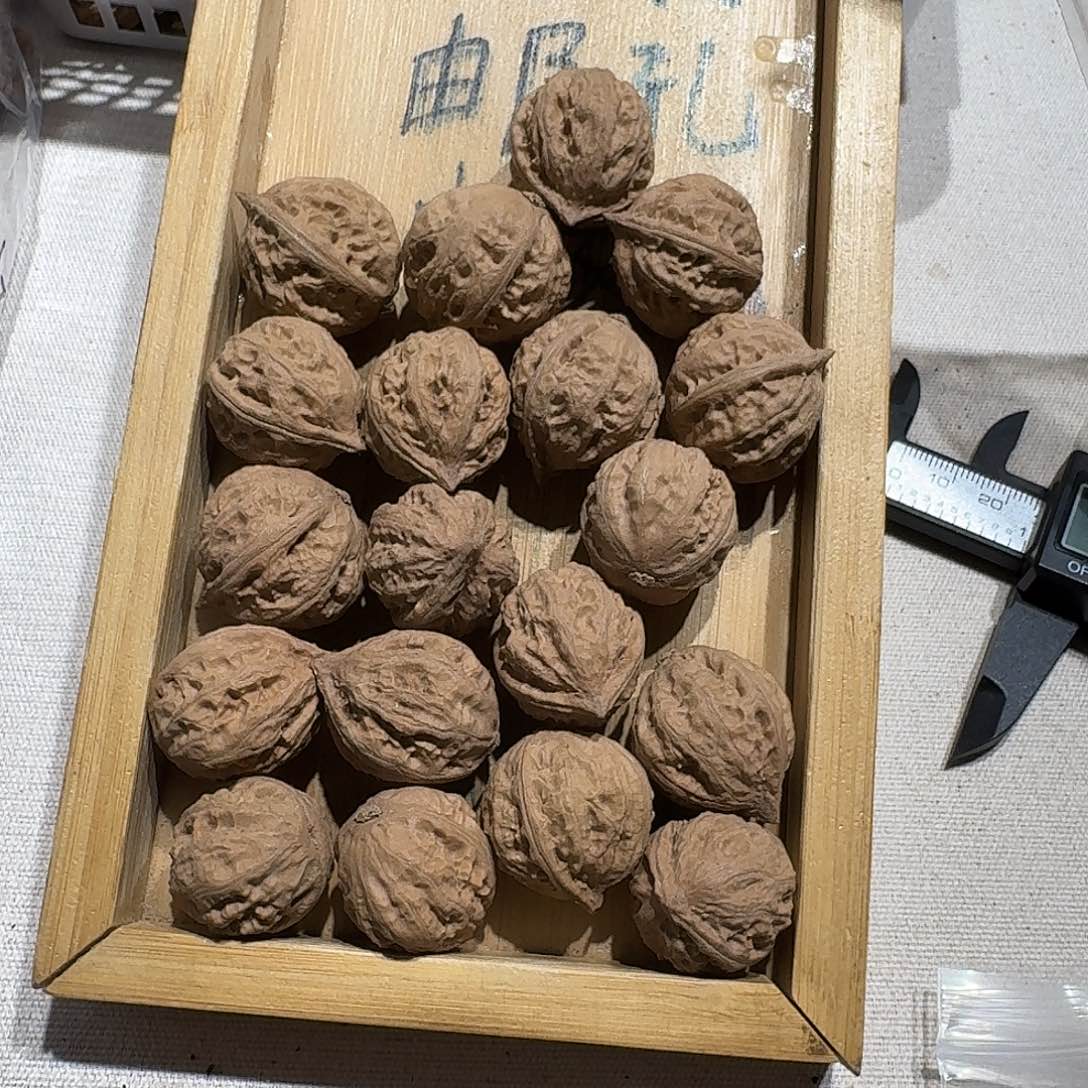 核桃手串/手链19号边22手持