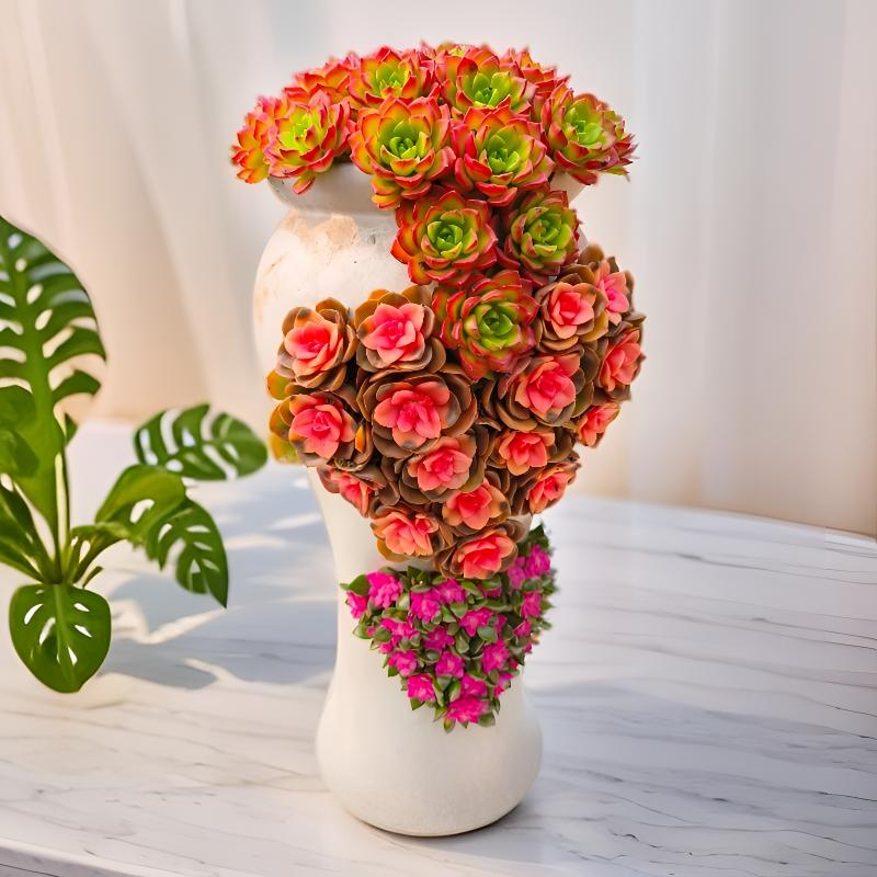 2026新款创意多肉花卉植物盆栽心心相印组合盆栽(含盆带花)