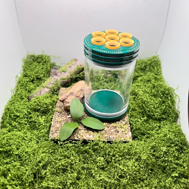 玩物甄选 老藏绿一代密胺（7孔）谭罐60蝈蝈叫罐鸣虫虫具配簧配布套