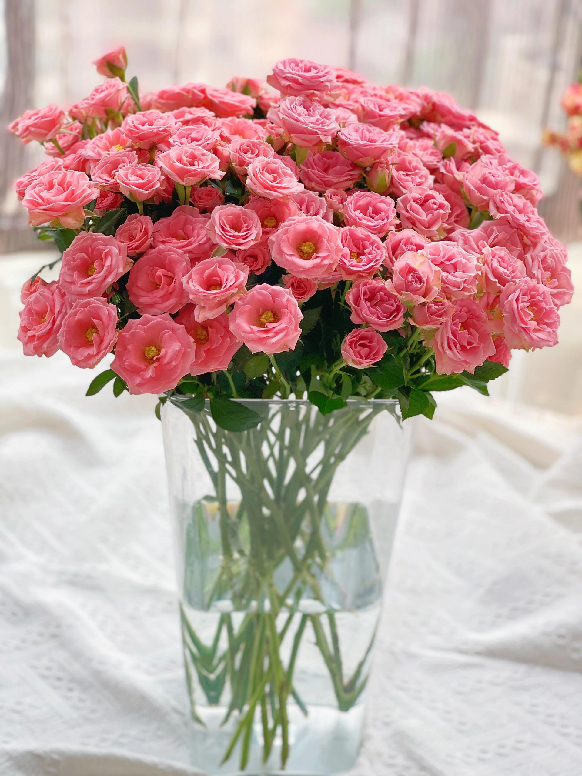 【露露公主】稀有A级多头玫瑰云南鲜花一单顺丰包邮家用鲜花花束