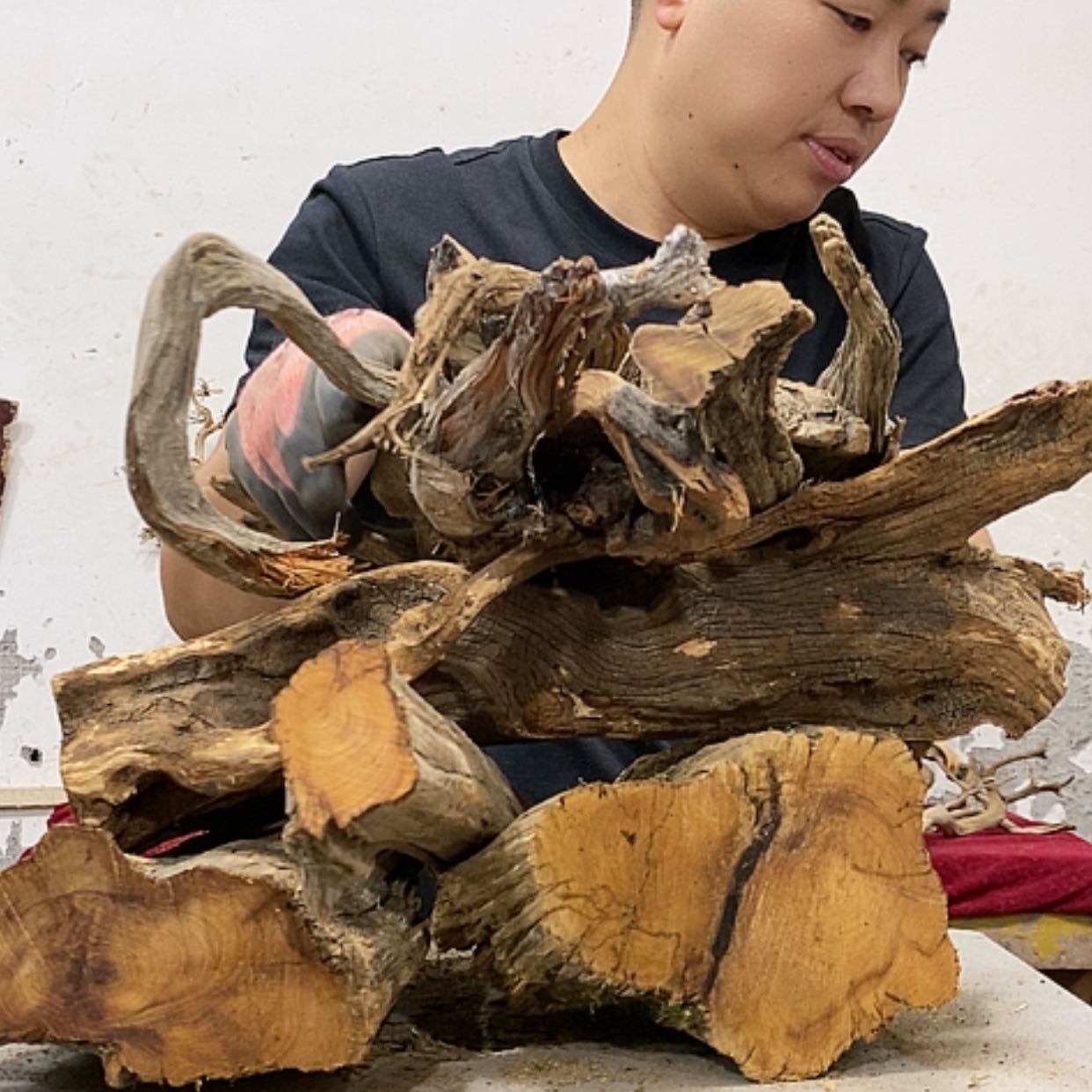 【闪购商品】柏木洛****?我们都是好孩子