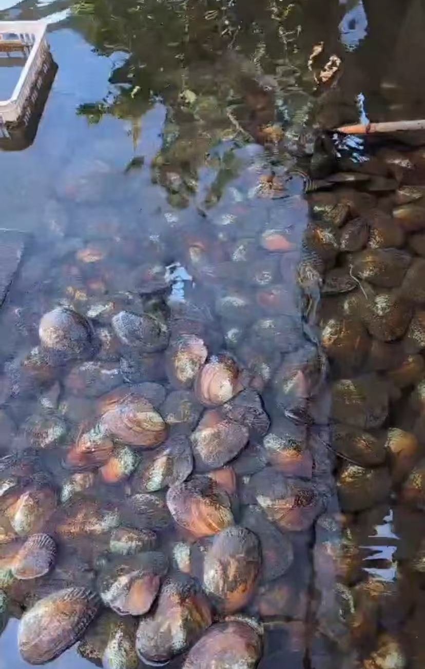 邮费差价链接 退差 补差