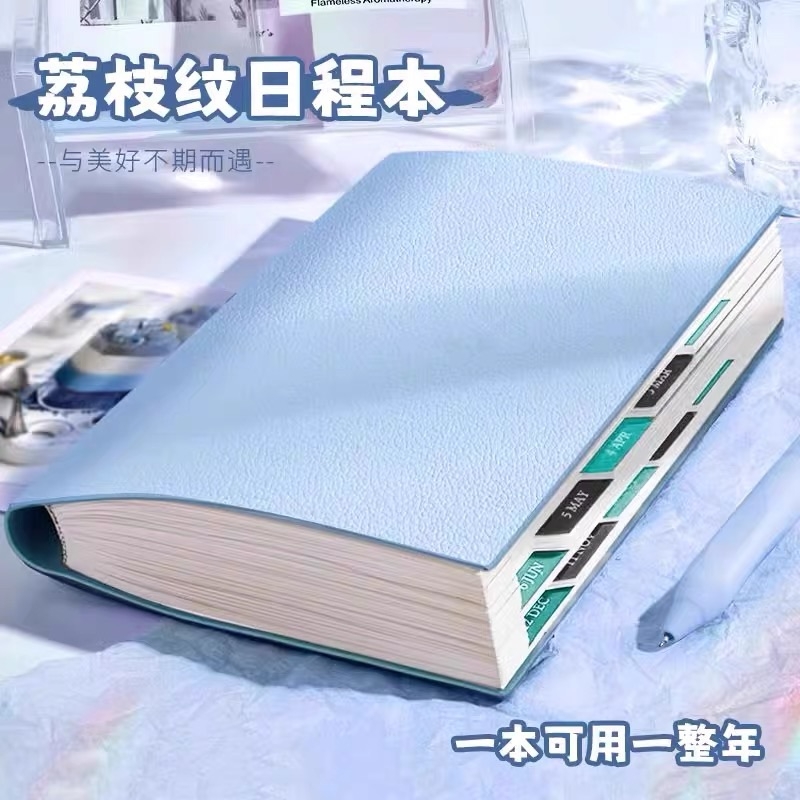 1-1-B5荔枝纹2025日程本2本装/颜色随机