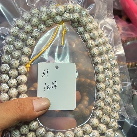 蒲***伞星月菩提吊坠37号