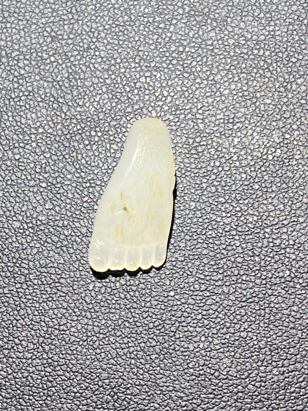 新疆和田玉脚丫 2g