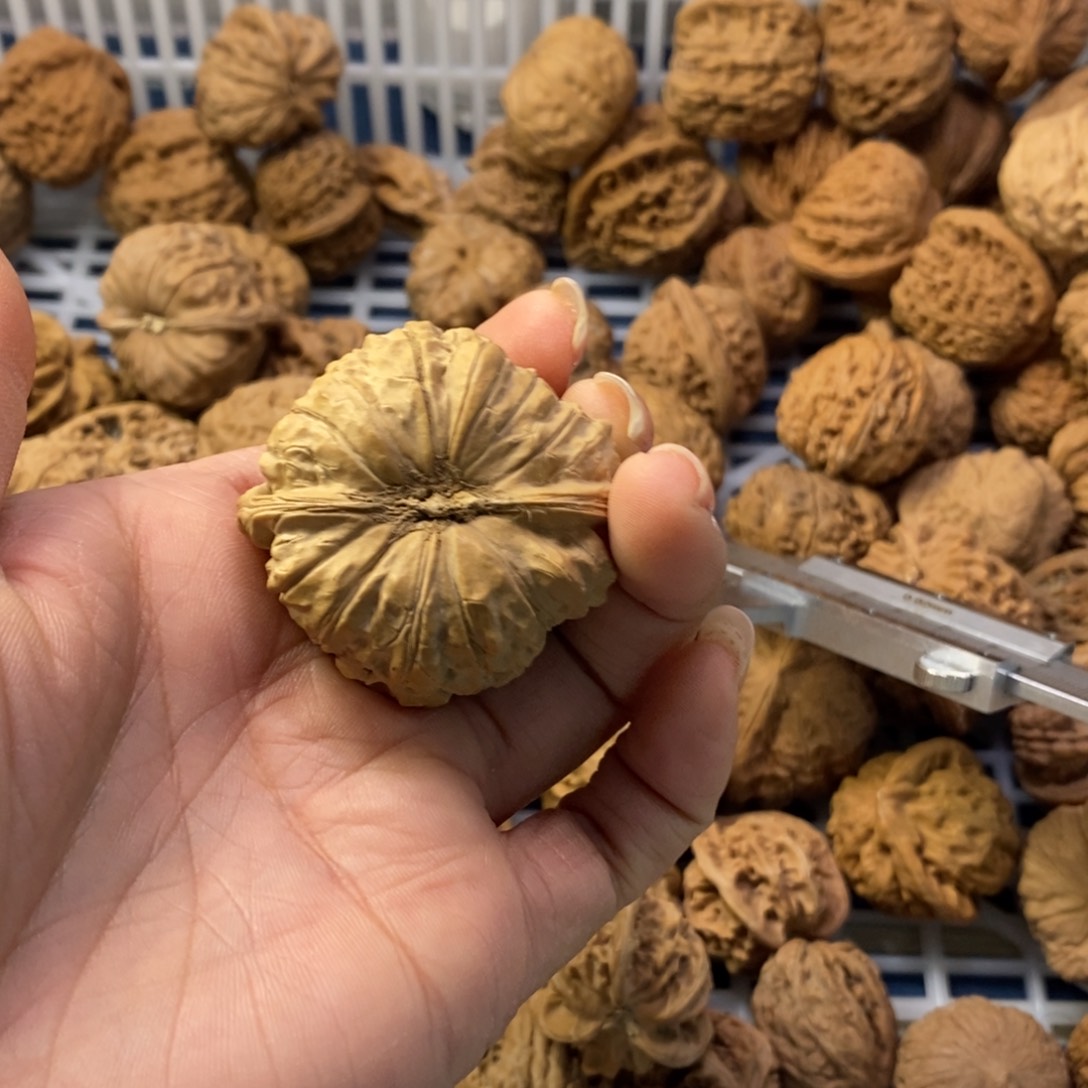 鸿***吊坠文玩核桃南瓜