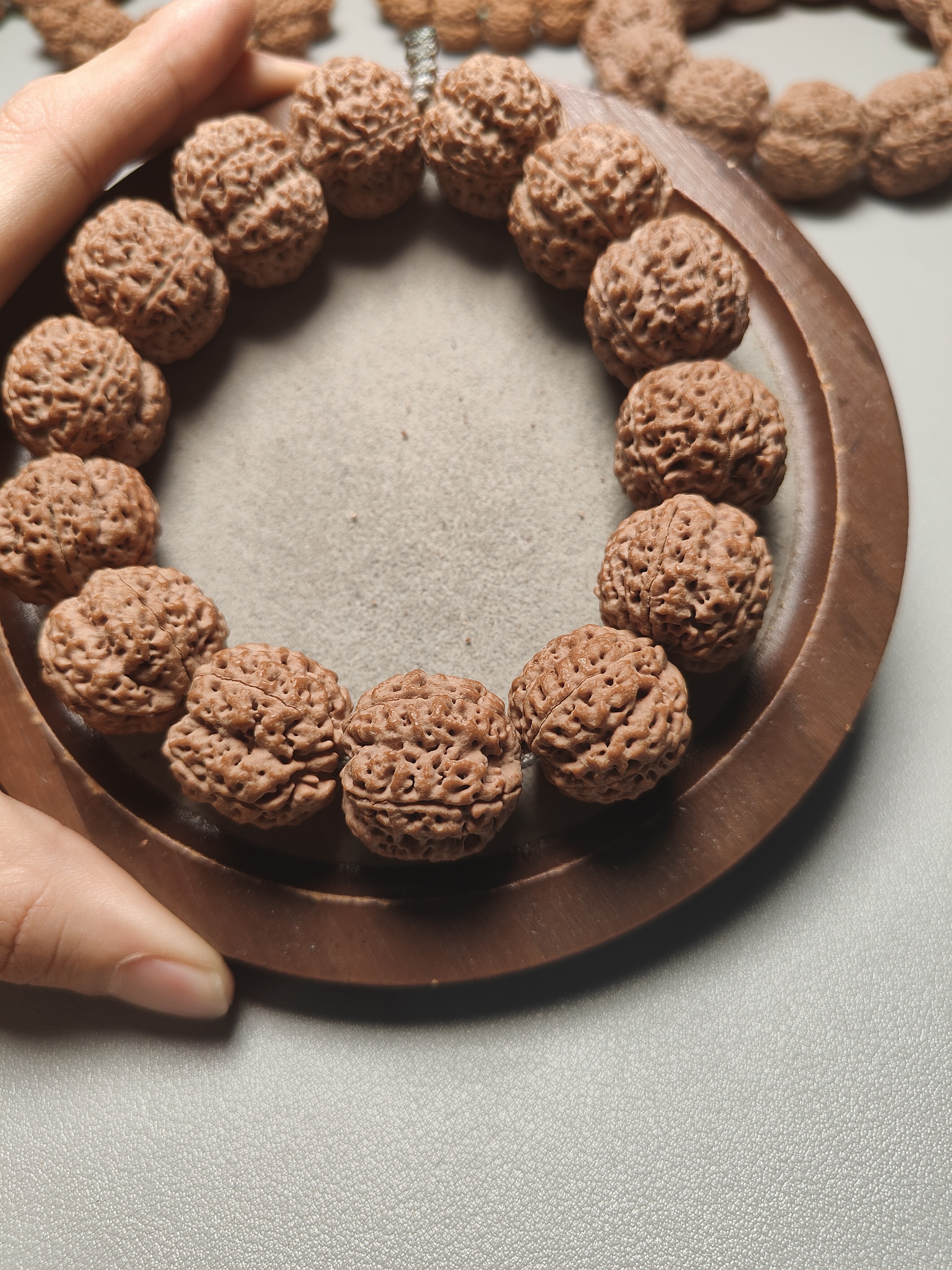 24尺寸，梁产蜂王