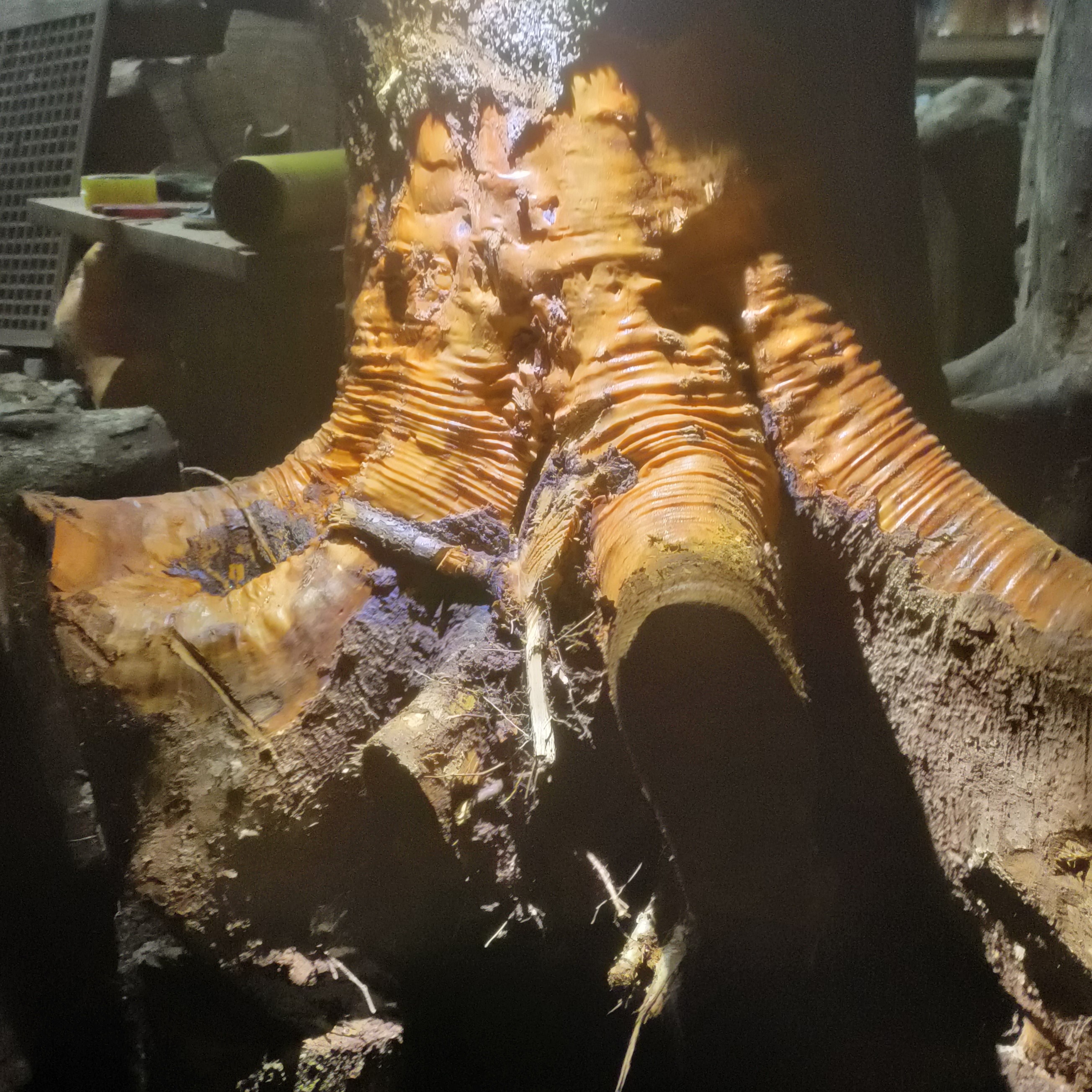 原材料木材板材，图片仅供参考