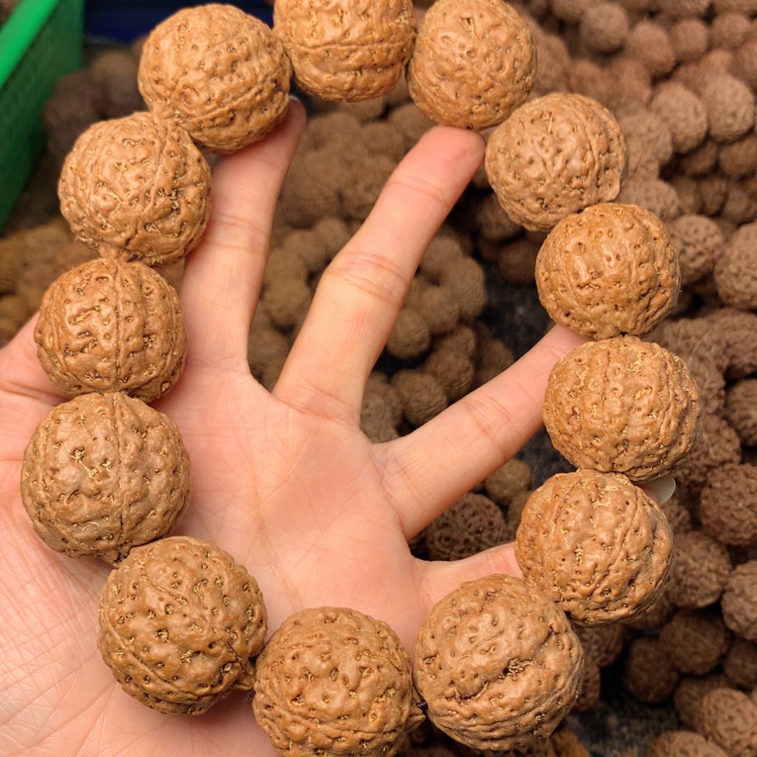 木7瓣爆肉卡29尺寸，112号