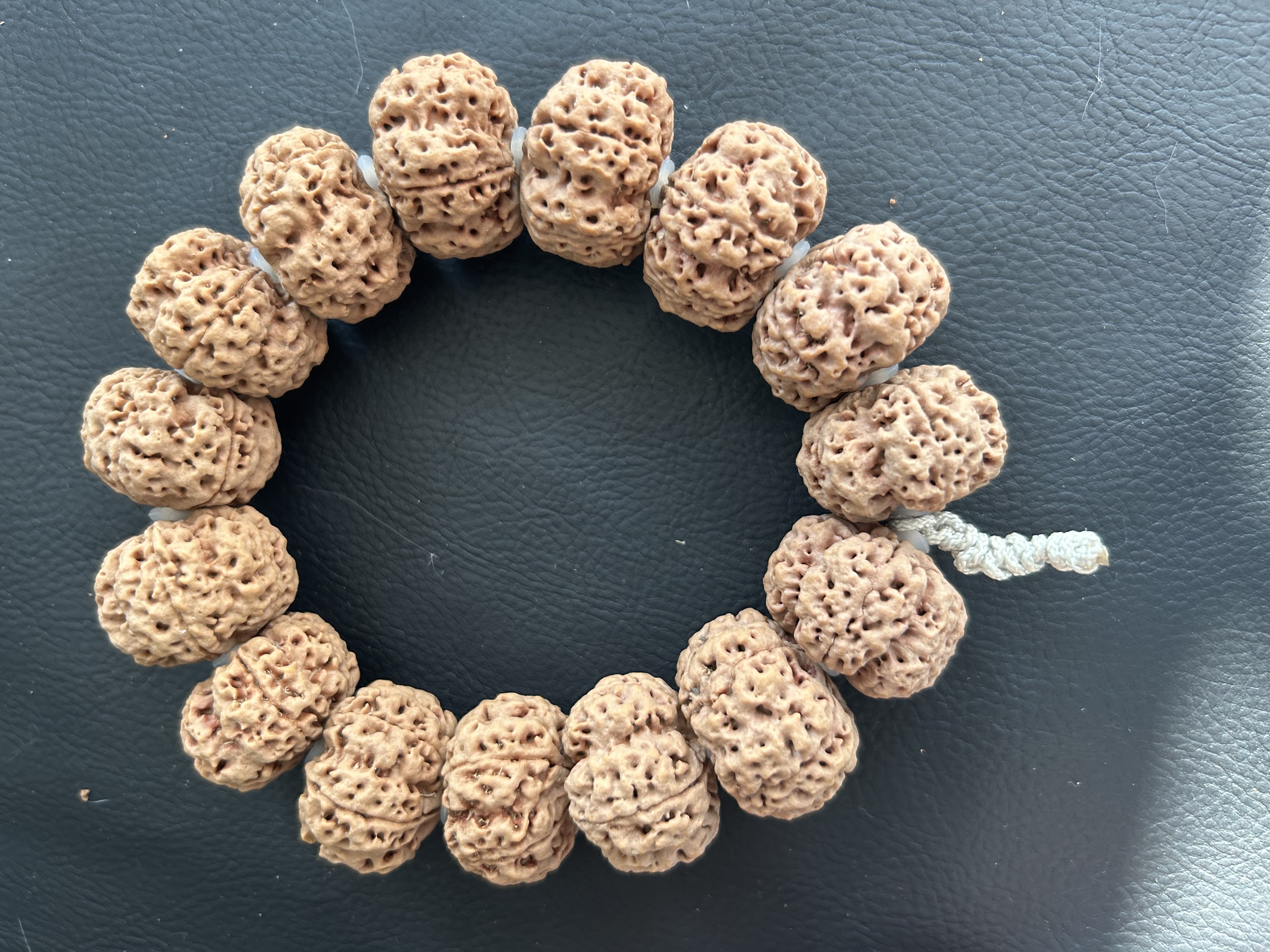 爆肉矮桩梅花大金刚