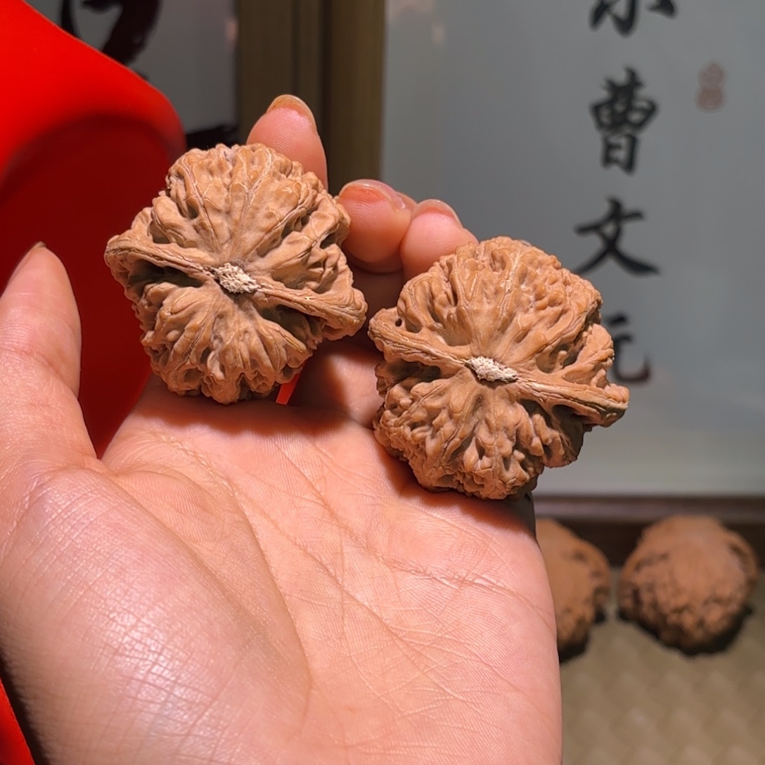 文玩核桃吊坠44尺全品大粗筋