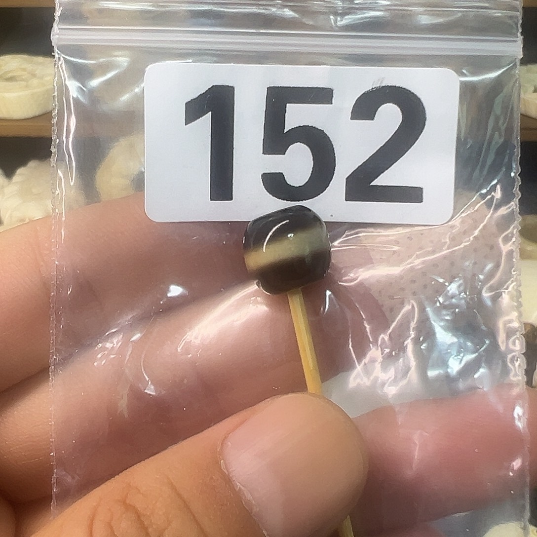 手串/手链/手镯猛犸象牙