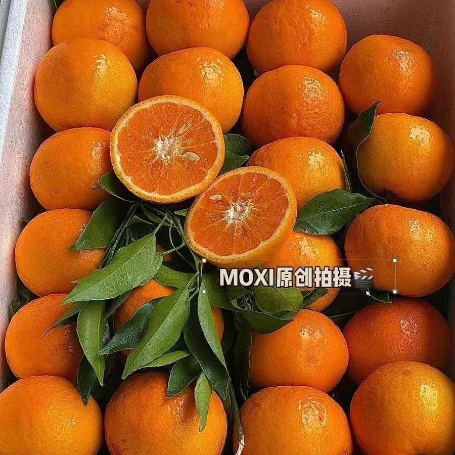 有核沃柑（19.99一袋）1000g左右云南省