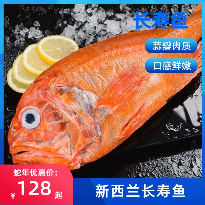 长寿鱼 新西兰长寿鱼 