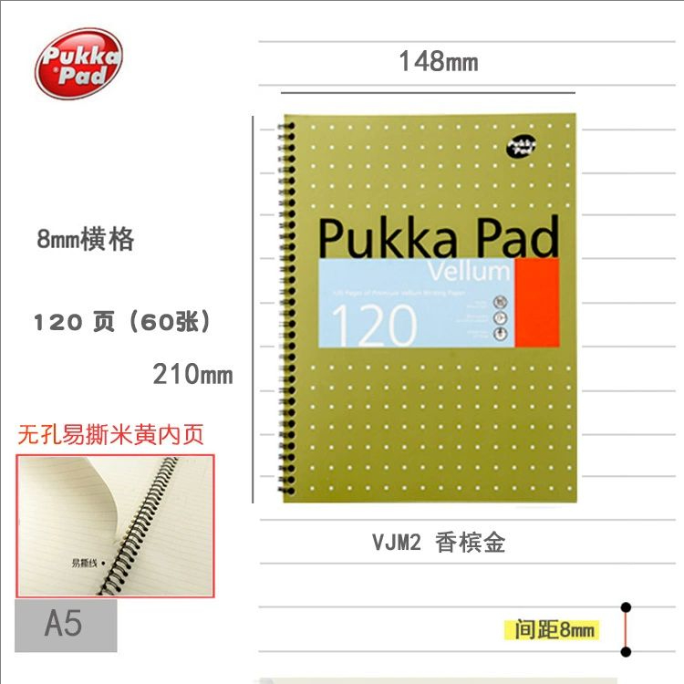 pukka padA5笔记本，随机颜色发货