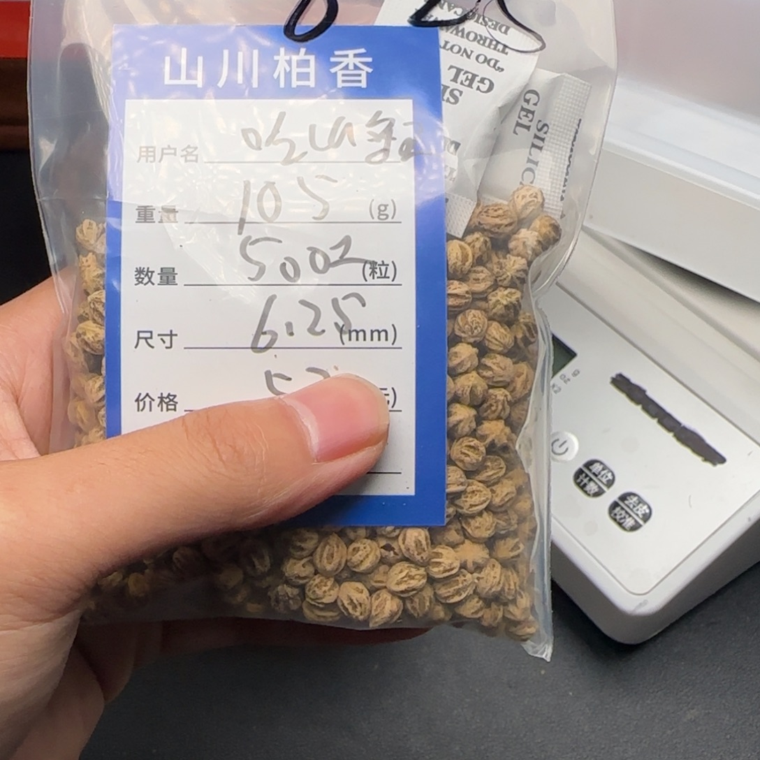吊坠柏香籽/百香籽