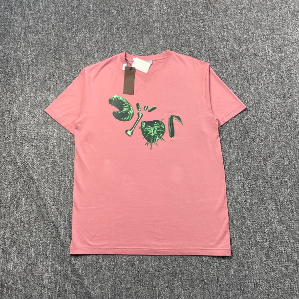 未使用 DIOR/迪奥 4943/粉色图案印花短袖/M码