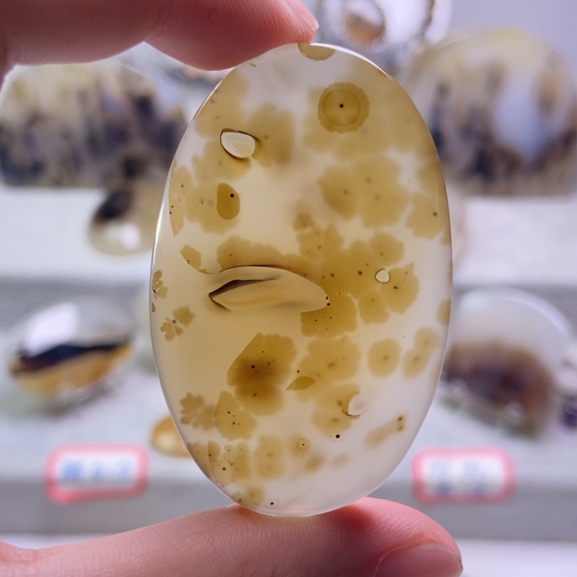 【闪购商品】未镶嵌玛瑙/玉髓珠宝奇石