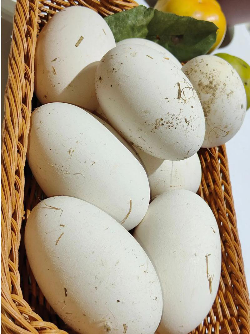 农村散养的土鹅蛋（损坏 破损包配）不支持七天无理由退换