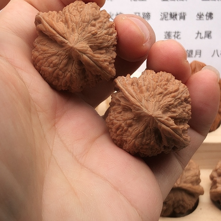 把件文玩核桃满天星，边35