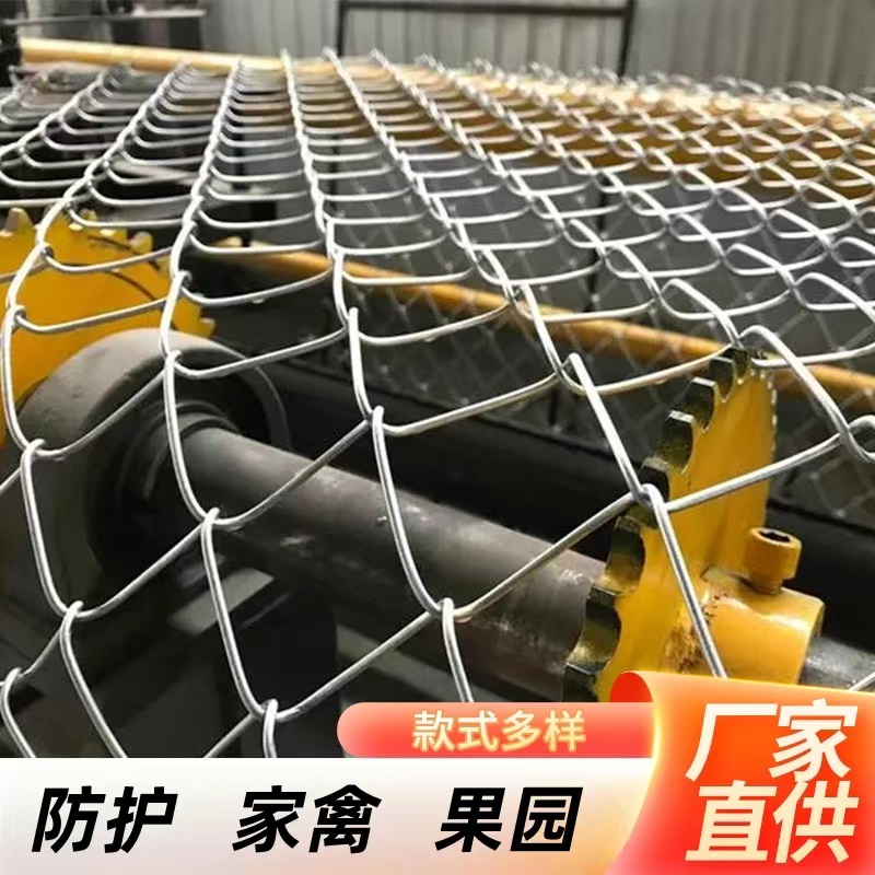 5-6厘米网孔铁丝网热镀锌养殖围栏网养猪牛羊 狗兔子勾花网防护网