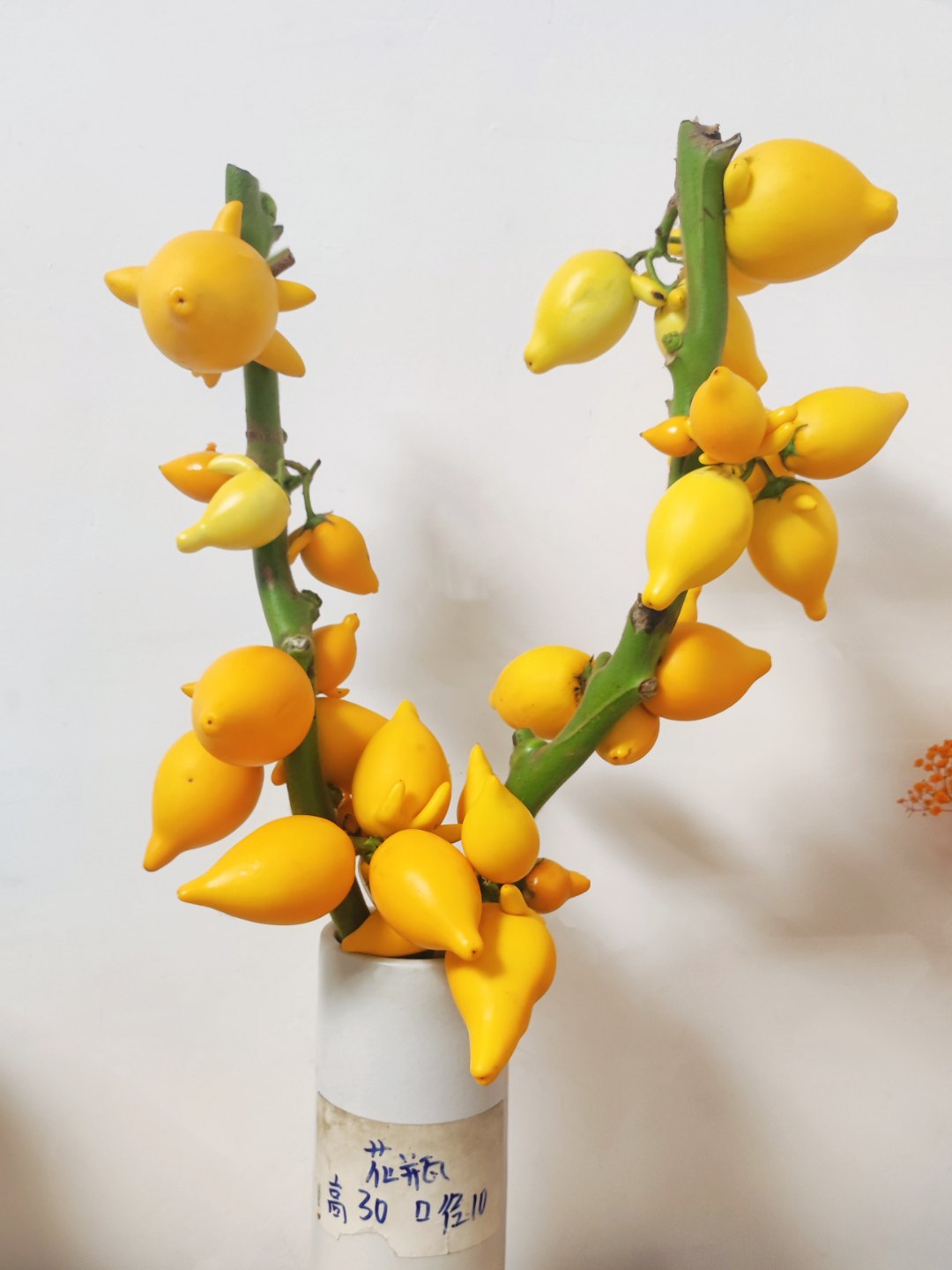 【五代同堂黄金果】小猪佩奇果云南基地直发批发家庭办公室装饰花材