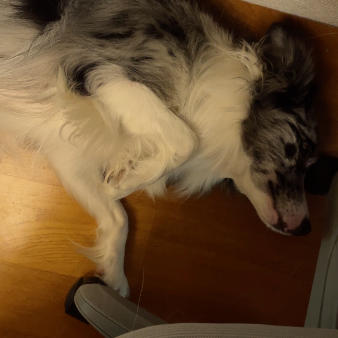 桃核把件墨墨墨墨墨