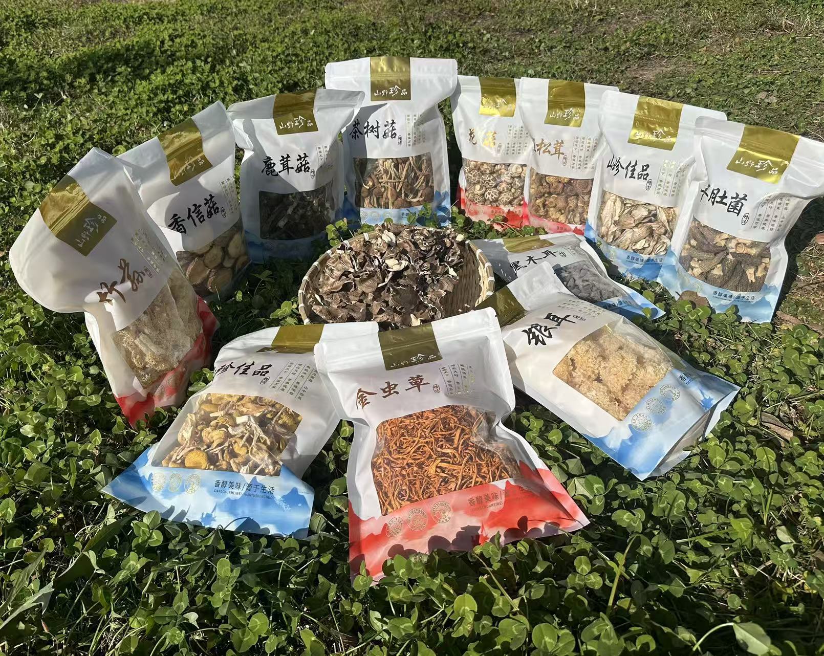 【姐妹花的菌菇】鹿茸白黑银木耳香信花虫草灰茶树姬松茸羊肚荪无硫