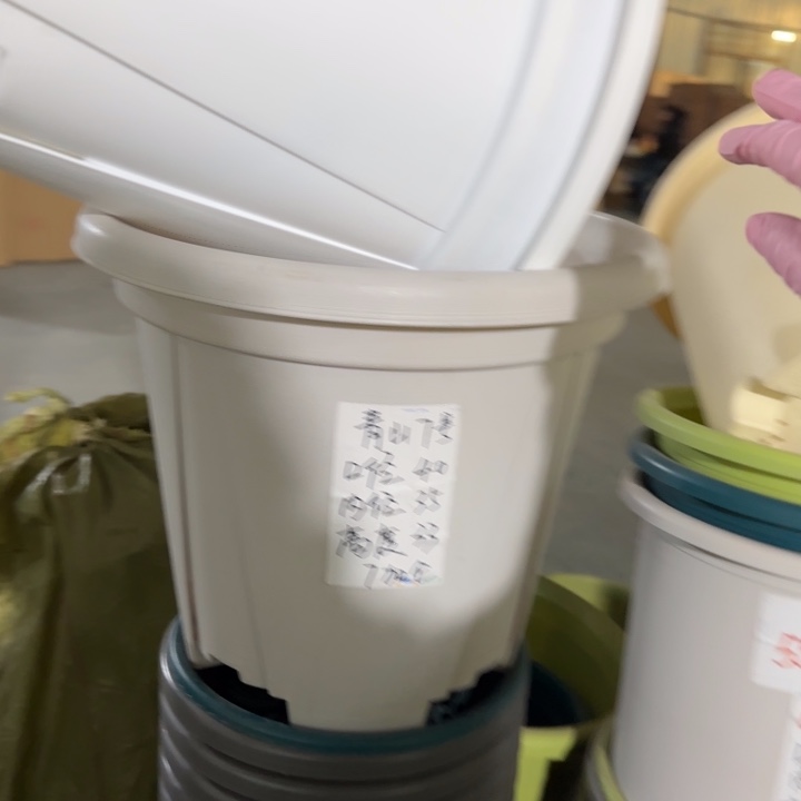 青山7#口径40无托灰白3个