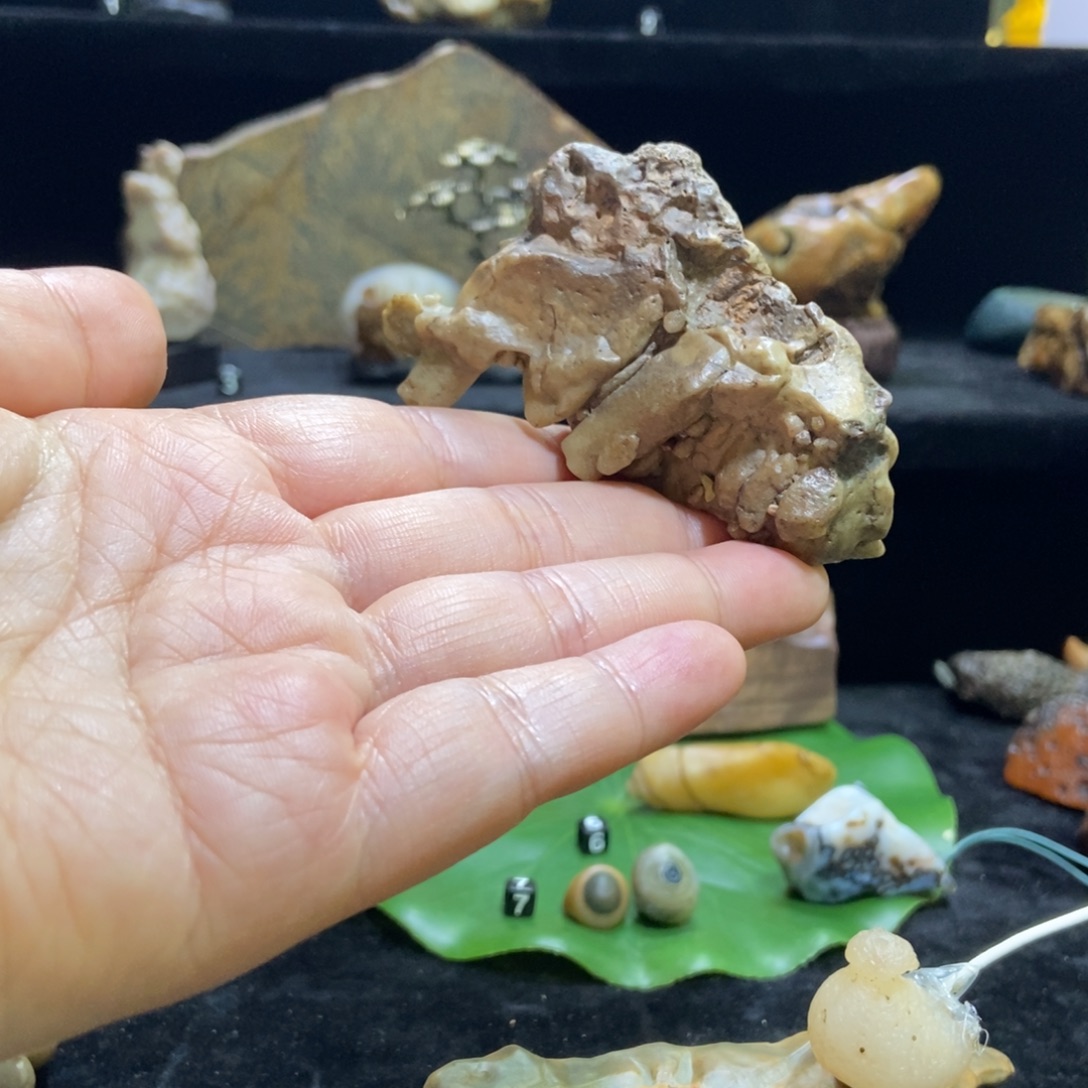 有机玻璃尔滨的小帅哥的