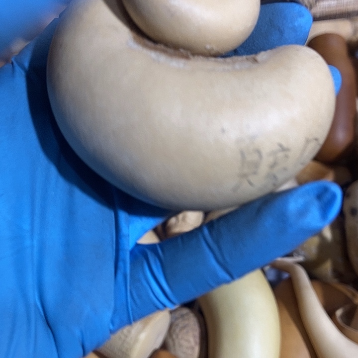 真***亮直播间里的拍品链接