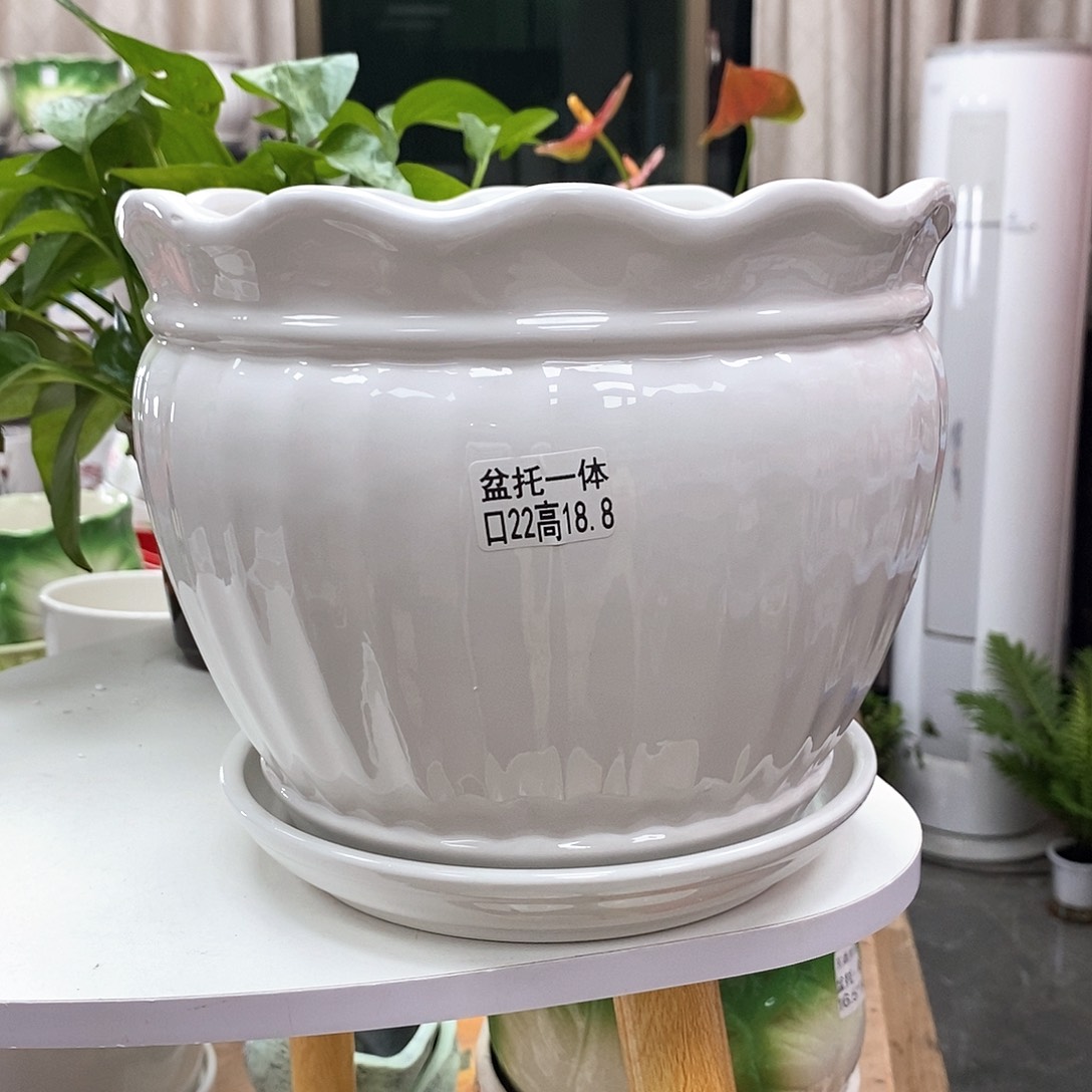陶瓷@陶瓷花盆@@5581