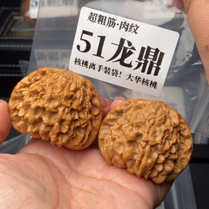 文玩核桃把件王*川51龙鼎