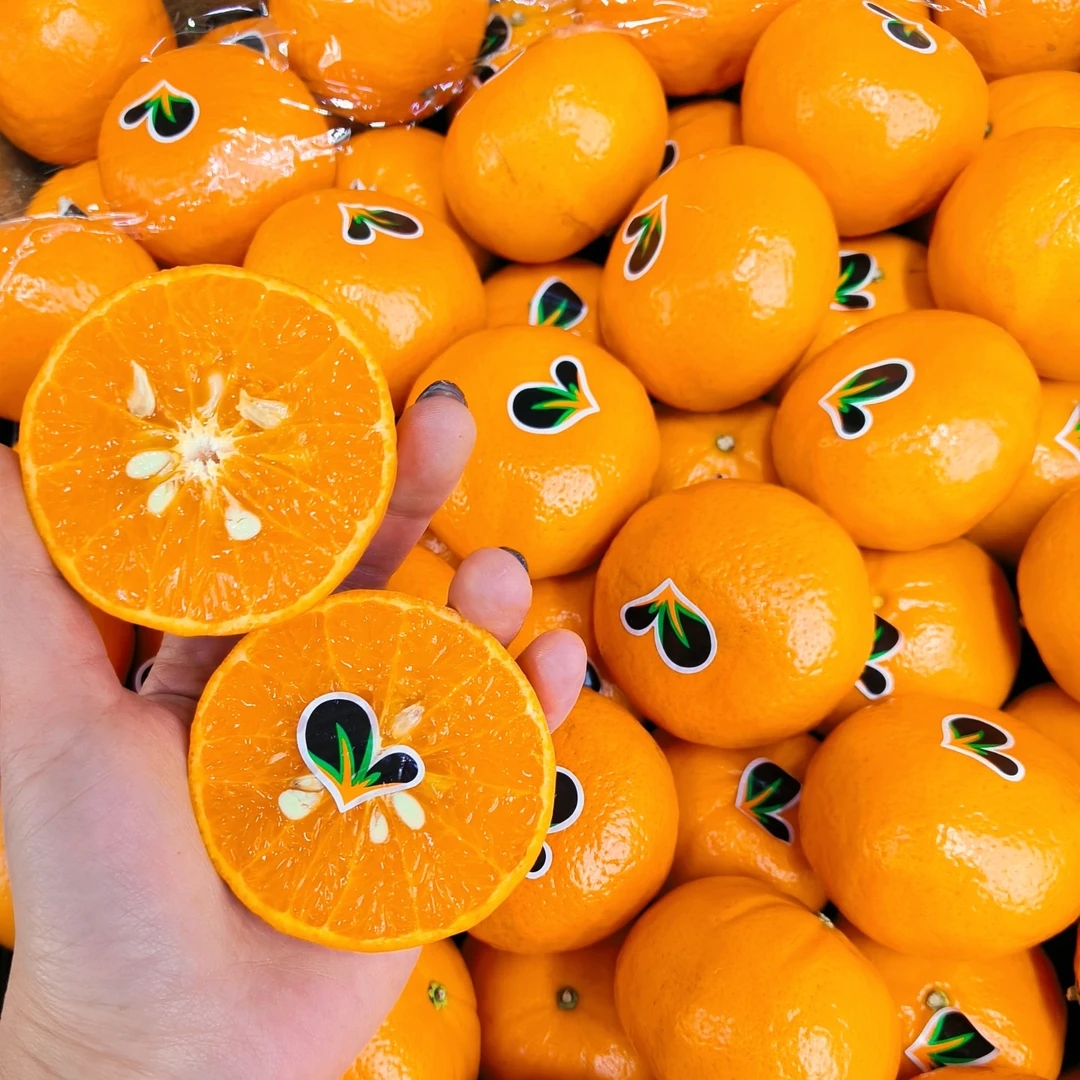 冰淇淋澳橘 500克