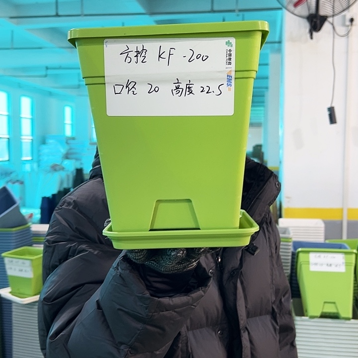 正品方盆口20高22果绿带托10只