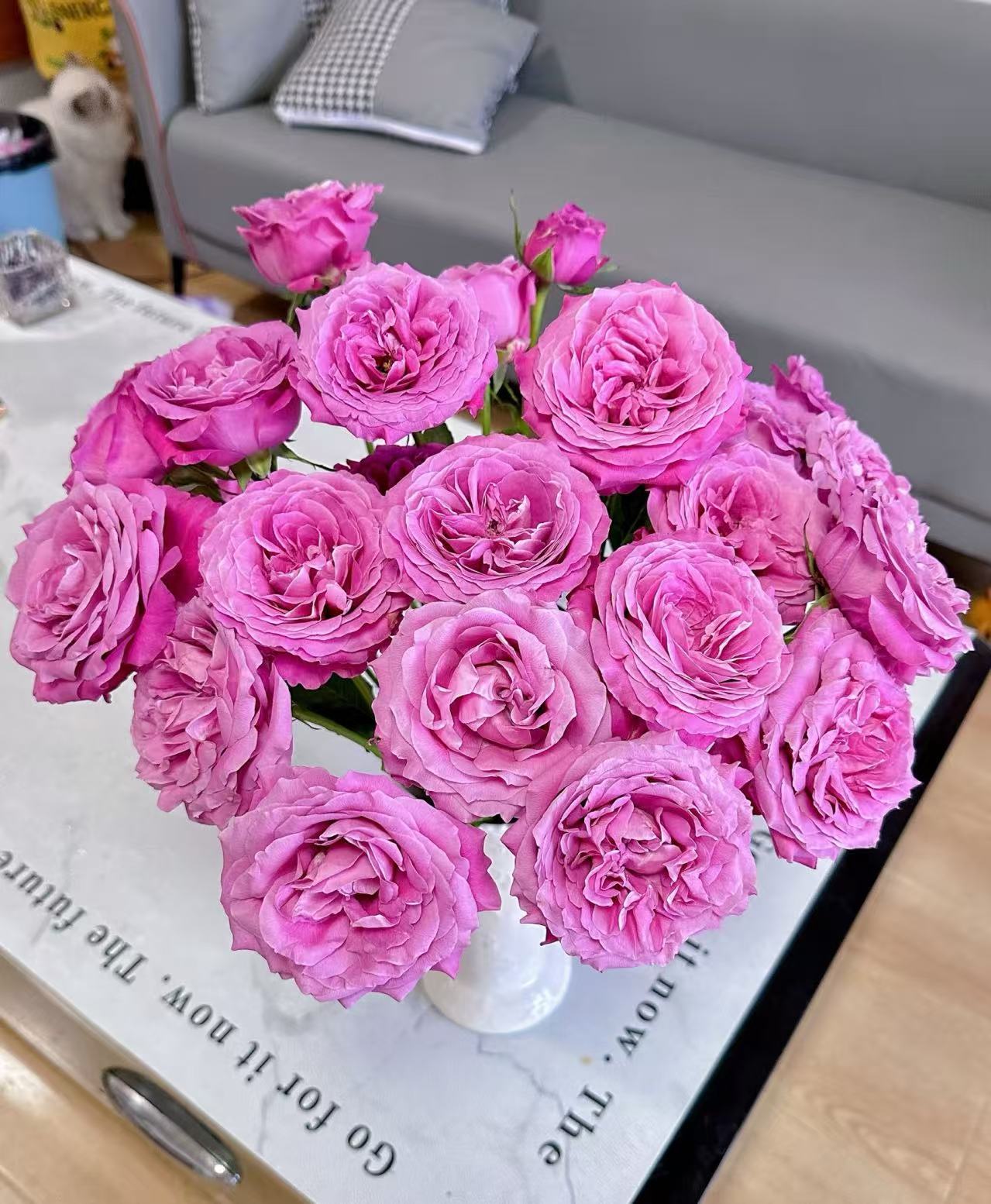 【长相思玫瑰】全场鲜花任意两单及以上包邮