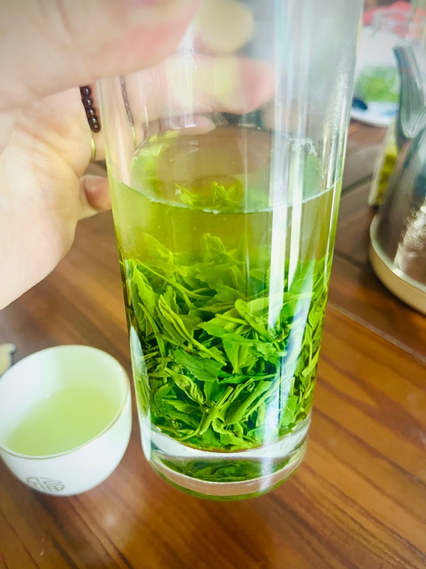 2025襄阳高香茶保康云雾绿茶雨前特级炒青高品质耐泡