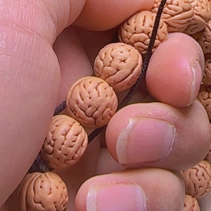 王*贵2025246野生桃核大肠纹手持一条