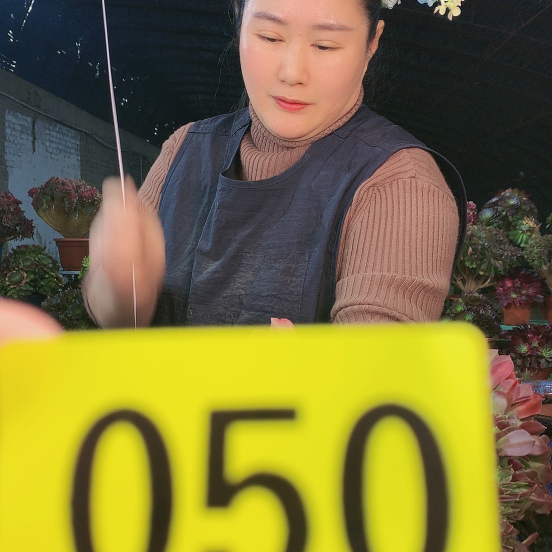 Ssssssssssssssssssss50