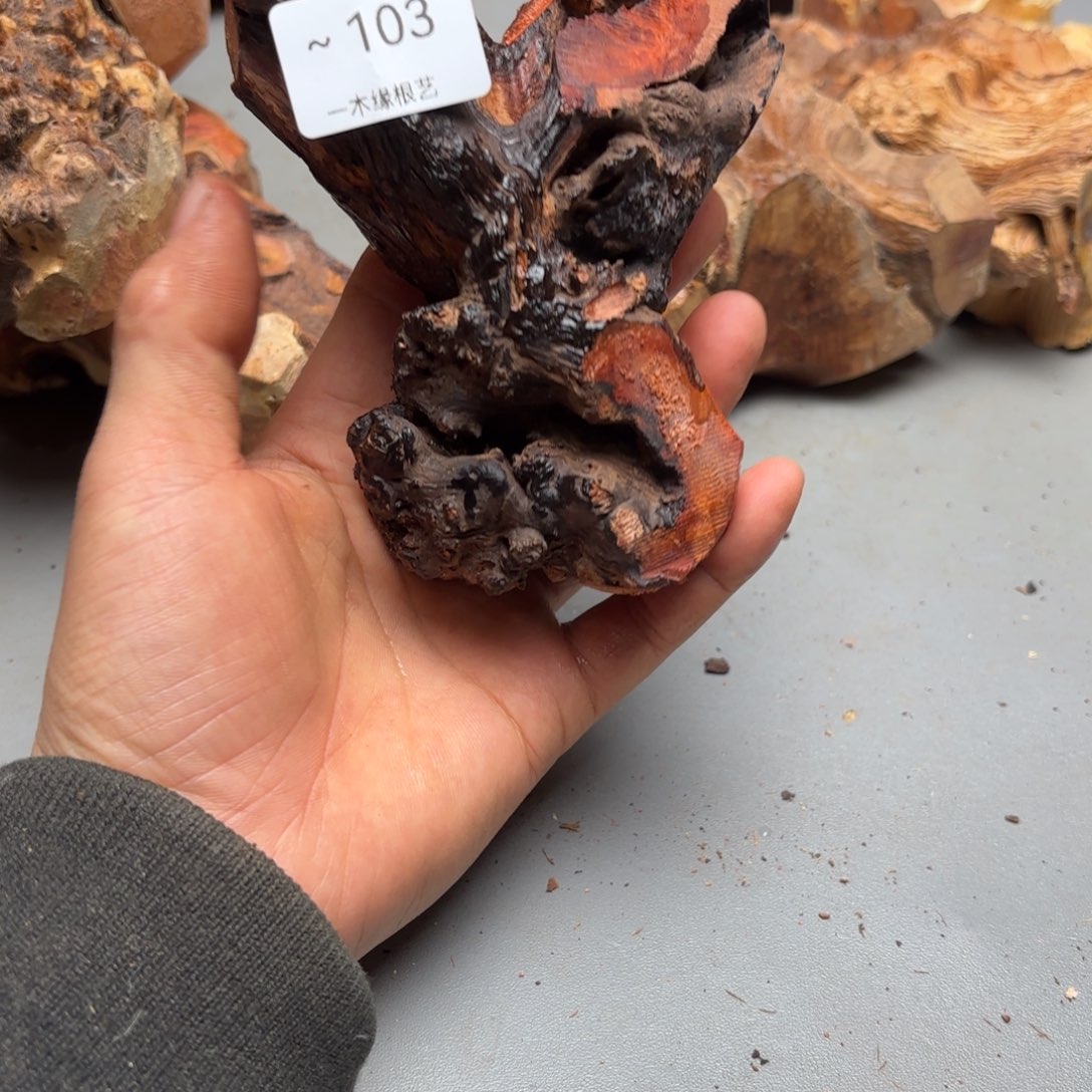 l***u无花朵0。         103