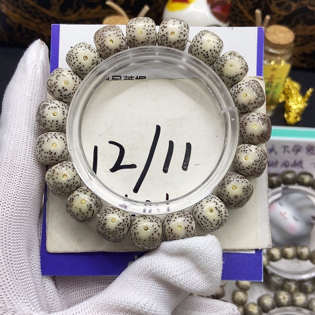 星月菩提手串17大眼黄金痛12/11