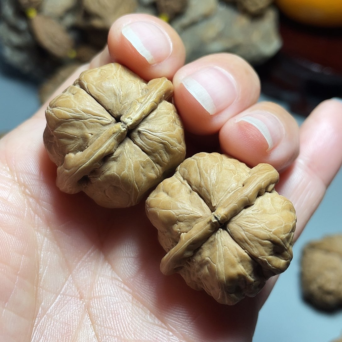 核桃手串/手链精品水晶蛤蟆球连