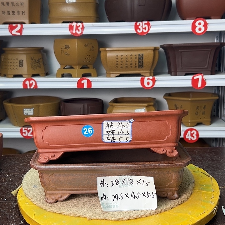 紫砂花盆你在一起