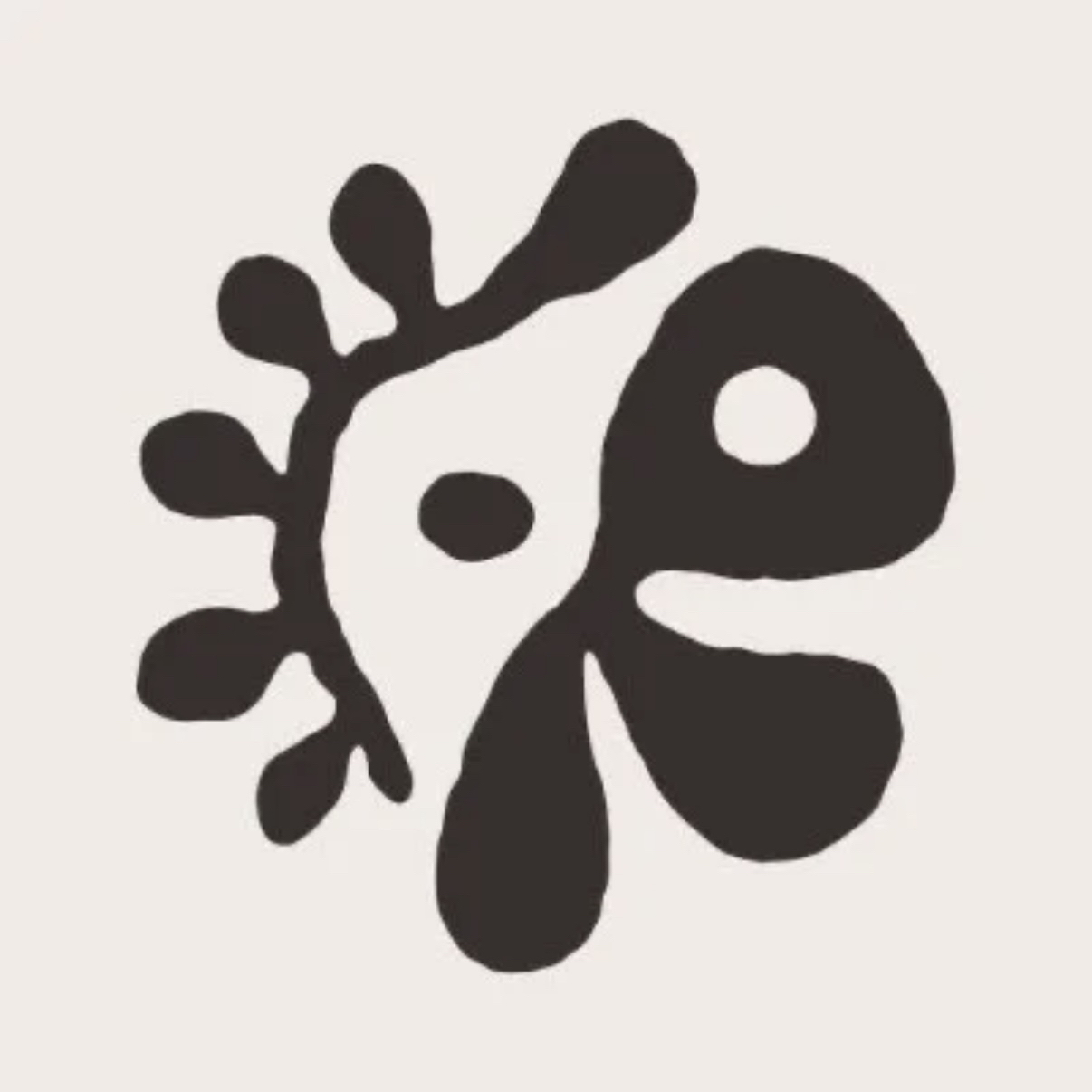 【现货包邮】CORTIS专辑周边合集
