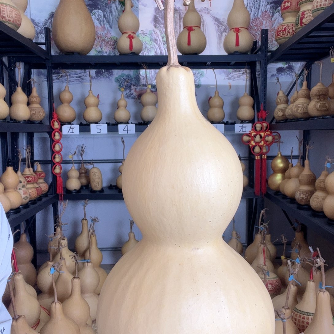 T****见葫芦葫芦葫芦葫芦葫芦葫芦