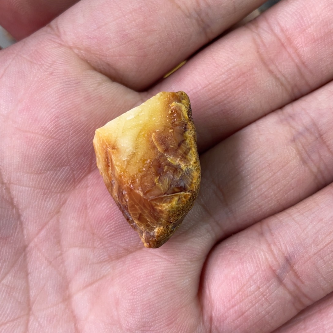 大***狼定制琥珀天然琥珀